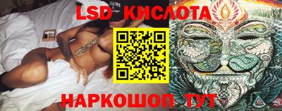молекула духа Будённовск