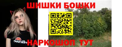 молекула духа Будённовск