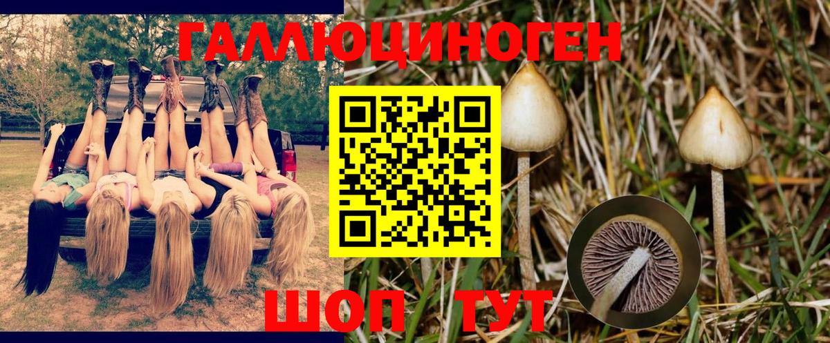 Октябрьский  Псилоцибиновые грибы Psilocybine cubensis  Вход с VPN 