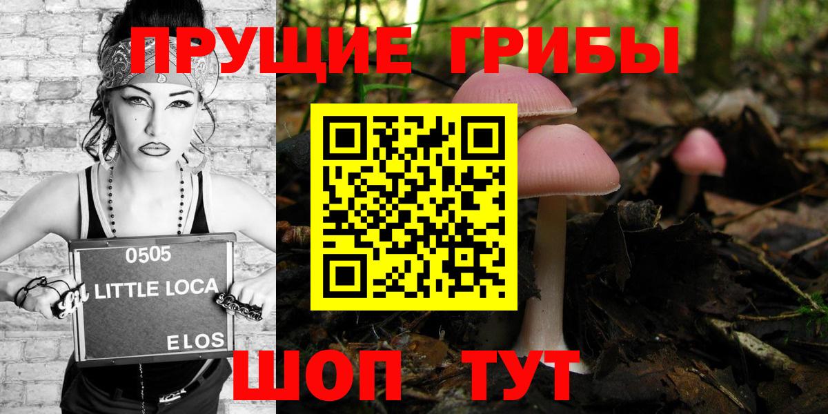 Галлюциногенные грибы Cubensis Октябрьский